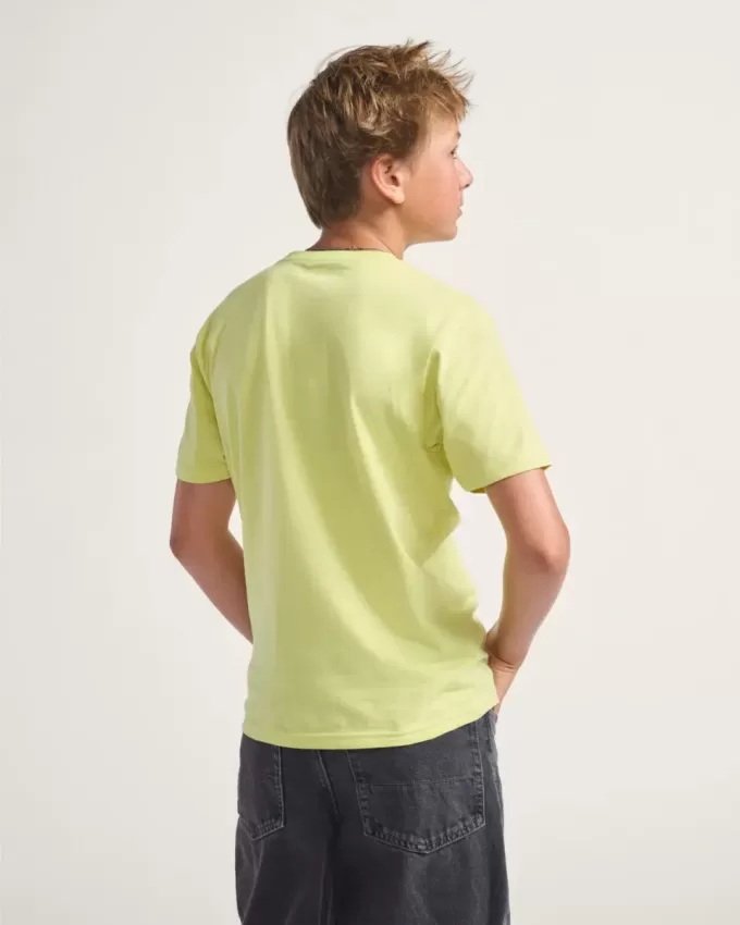 Barn Star Checker T-shirt