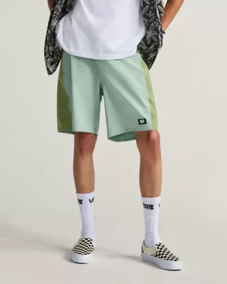 Dagliga 18” Boardshorts