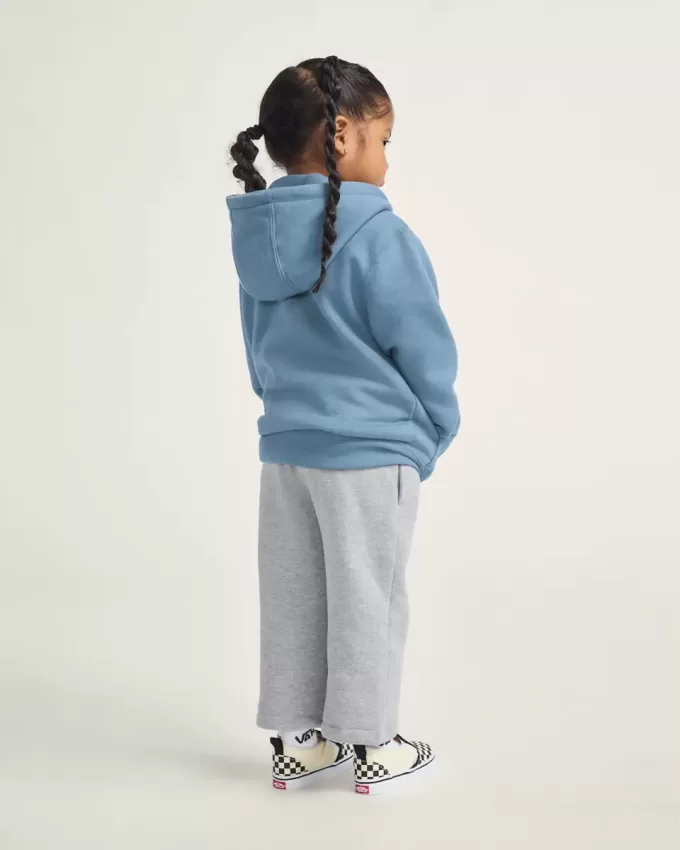 Little Kids Vans Sk8 Pullover Hoodie
