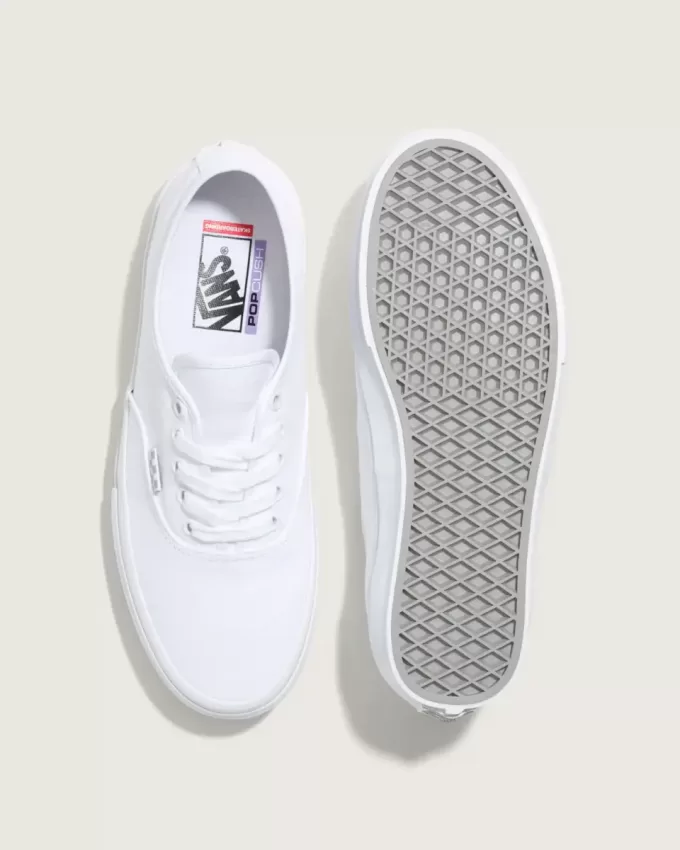 Skate Authentic Shoe