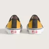 Skate Authentic Shoe
