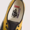 Skate Authentic Shoe