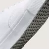 Skate Authentic Shoe