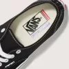 Skate Authentic Shoe