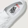 Skate Authentic Shoe