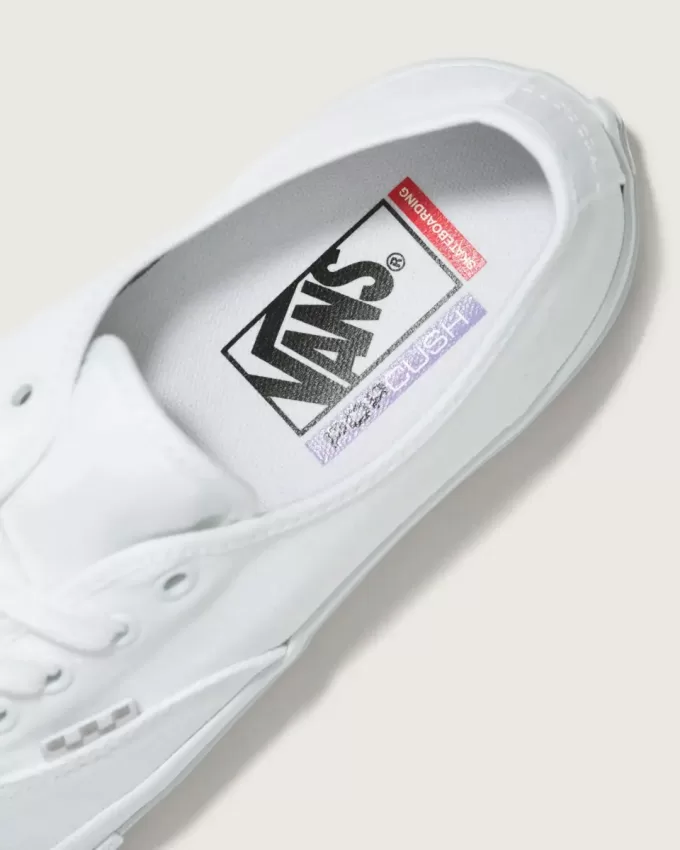 Skate Authentic Shoe