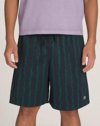 Skate Loose 20-tums sportshorts